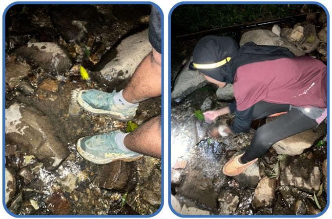 16. Perjalanan Turun yang Menantang Mental Part