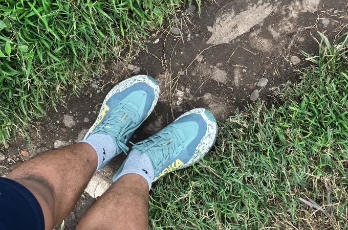 3. Uji Coba Habitat Aspal Rumah vs Tanah Jeblok