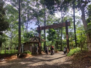 WhatsApp Image 2022 07 03 at 08.15.57